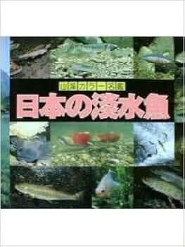 山渓カラー名鑑 8冊セット まとめ売り　レアセット レア 貴重 希少 列島 野鳥 日本の野鳥 (山渓カラー名鑑) (山溪カラー名鑑) | 高野 伸二 |本